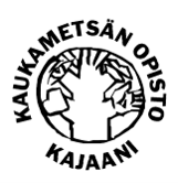 Kaukametsän opisto logo