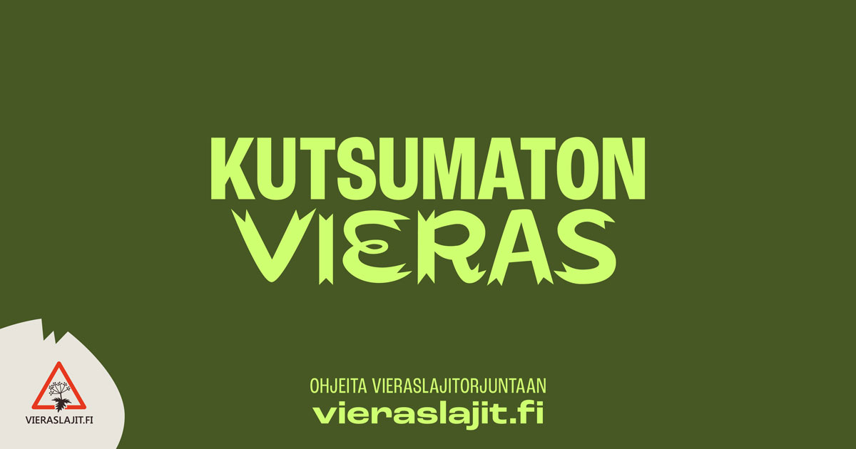 Kuvassa on tekstiä, jossa lukee: “Kutsumaton vieras” sekä “Ohjeita vieraslajitorjuntaan vieraslajit.fi“.