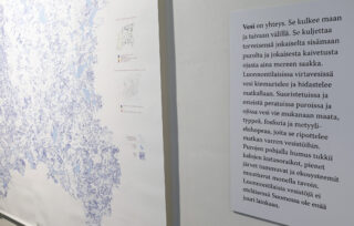 Salikuva Pohjoistuulen metsä -näyttelystä. Ritva Kovalainen, Sarjasta Jokimuotokuvia (2022)